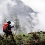 Makanan Yang Dapat Dimakan di Hutan Saat Tersesat di Gunung