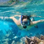 Petualangan Snorkeling di Laut Karibia