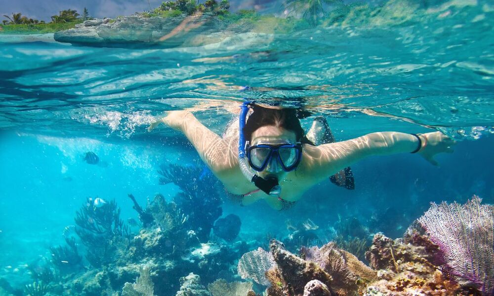 Petualangan Snorkeling di Laut Karibia