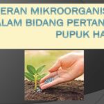 Mikrobiologi Pertanian: Peran Mikrobiota dalam Pertanian