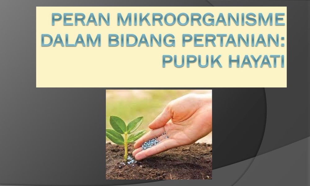 Mikrobiologi Pertanian: Peran Mikrobiota dalam Pertanian