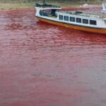 Fenomena Laut Merah di Indonesia