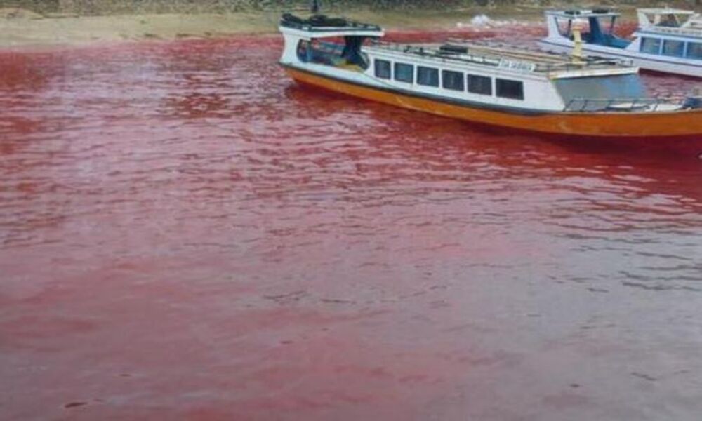 Fenomena Laut Merah di Indonesia